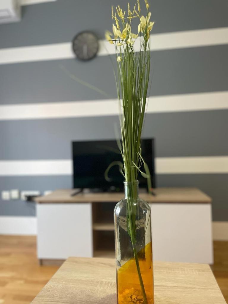 Naki Apartmani พอดโกริกา ห้อง รูปภาพ